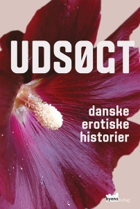 UDSØGT - danske erotiske historier